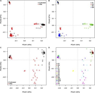 Does the Genomic Landscape of Species Divergence in Phaseolus Beans Coerce Parallel Signatures of Adaptation and Domestication?